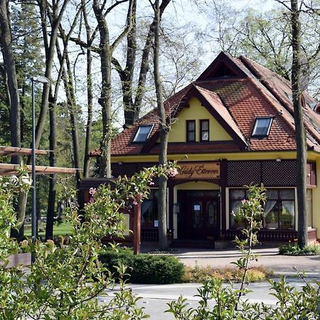 Villa Hotel Debrecen Eksteriør bilde