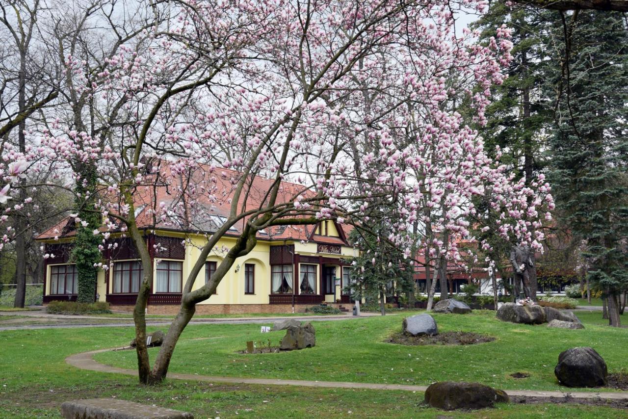 Villa Hotel Debrecen Eksteriør bilde