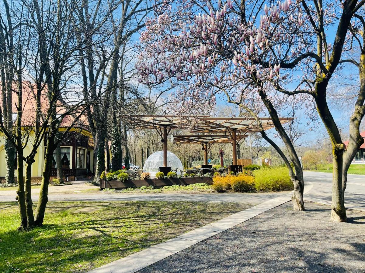Villa Hotel Debrecen Eksteriør bilde