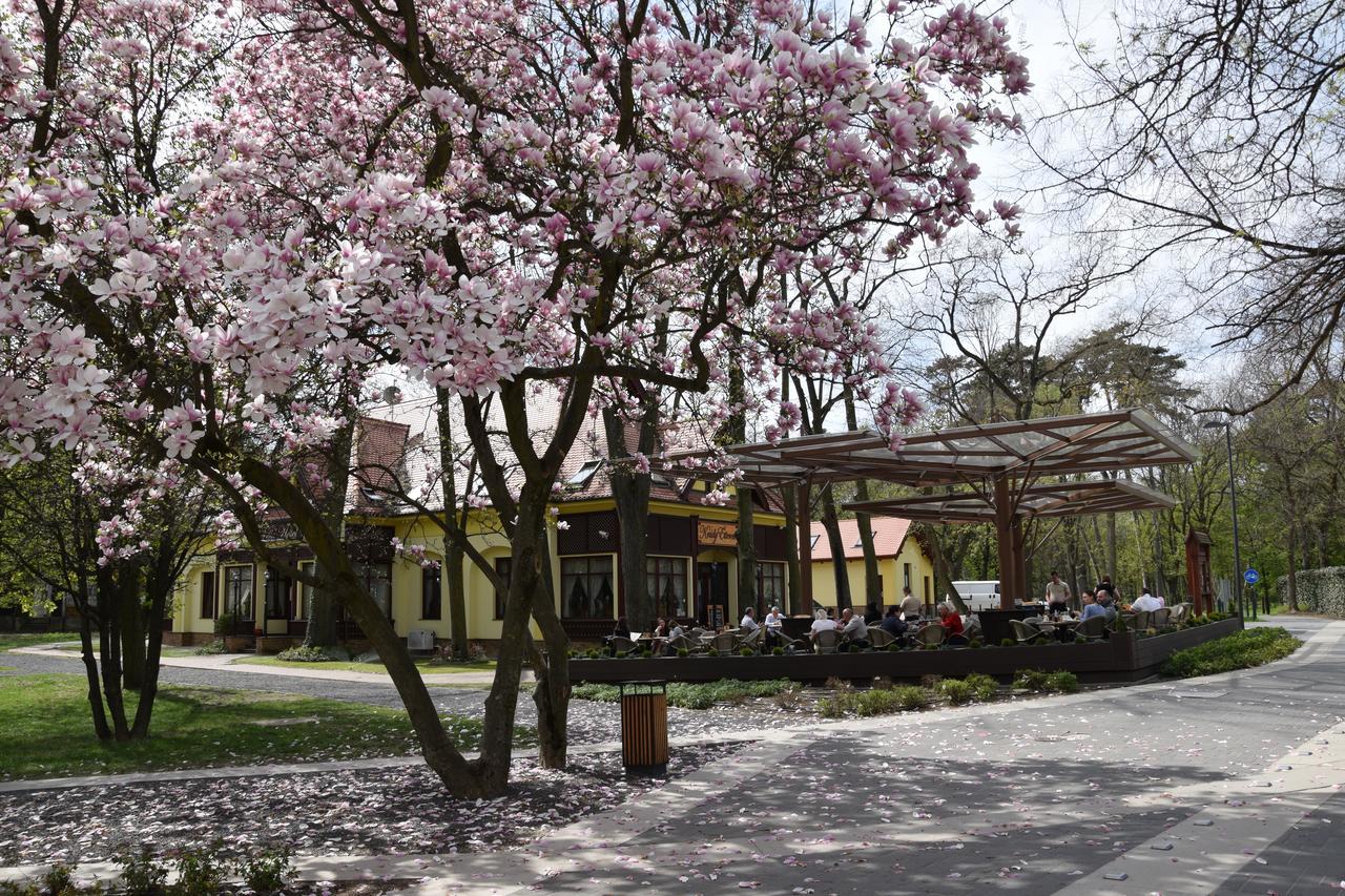 Villa Hotel Debrecen Eksteriør bilde
